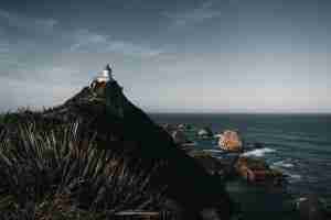nugget point lighthouse nueva zelanda