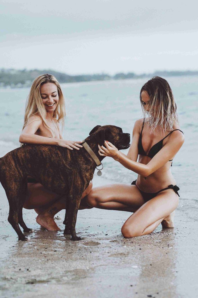 fotos con animales en la playa