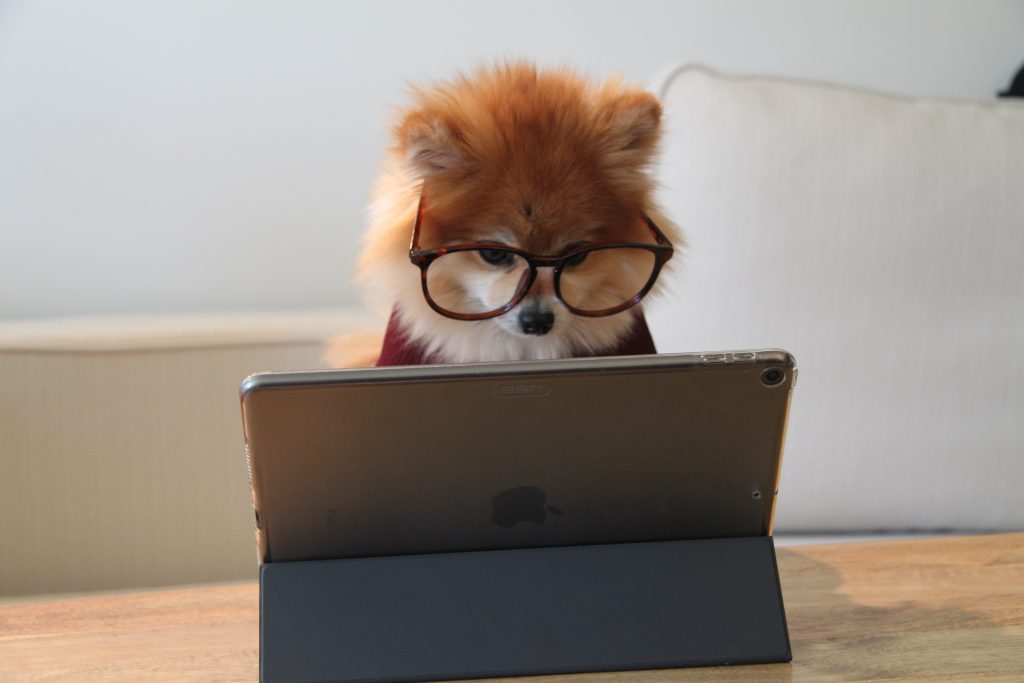 Descargar Adobe Illustrator para Mac GRATIS